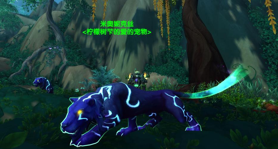 魔力宝贝私服顶级宠物获取方式 稀有宠物大揭秘