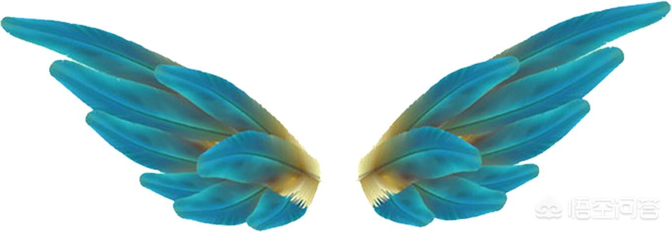 魔力百科金币速刷技巧 快速获取金币的有效方法 魔力百科金币速刷技巧 快速获取金币的有效方法